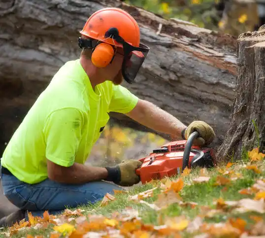 tree services Mount Aetna